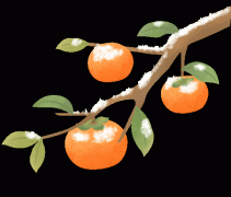 明式家具——橱柜的四种根基