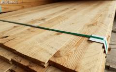 2024年南方松木出口增加显著岁尾略有回落